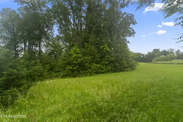 Greenback, TN 37742,1157 Houston Springs Rd