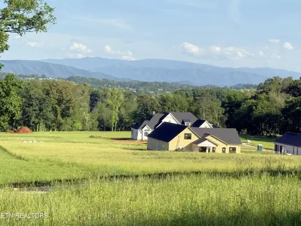 Greenback, TN 37742,lot 124 Kellys View DR