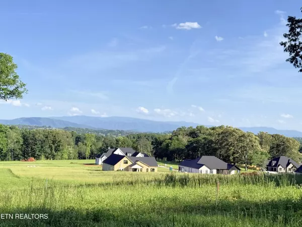 Greenback, TN 37742,lot 124 Kellys View DR