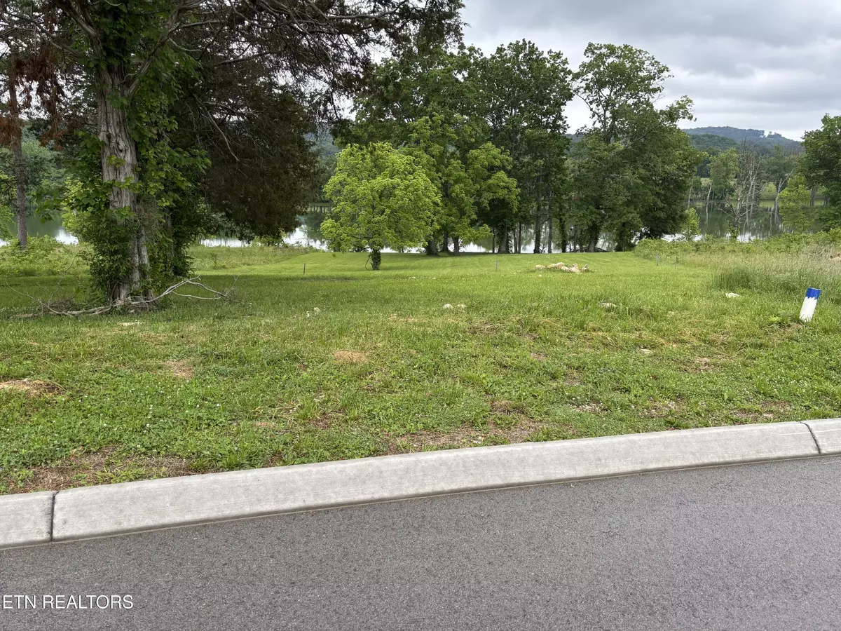 Maynardville, TN 37807,Waterfront Knoll