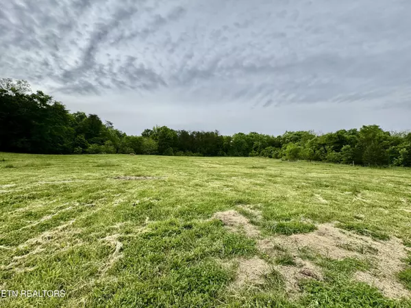 Blaine, TN 37709,Rutledge PIKE