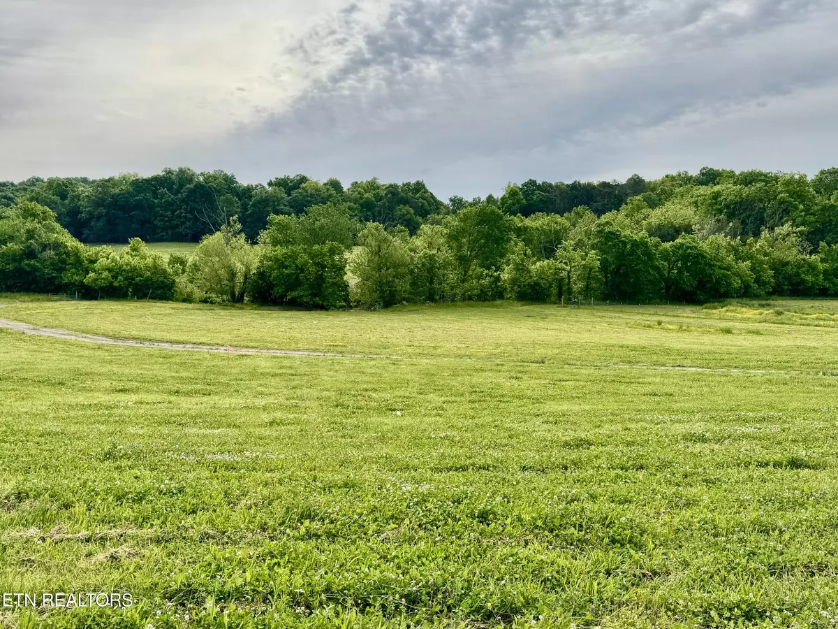 Blaine, TN 37709,Rutledge PIKE