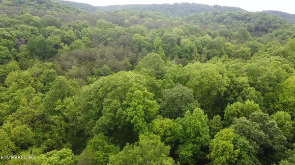 Blaine, TN 37709,Rutledge PIKE