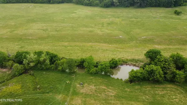 Blaine, TN 37709,Rutledge PIKE