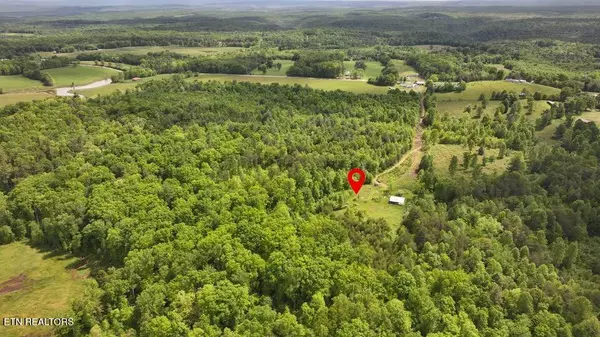 Deer Lodge, TN 37726,Tim Jones Rd