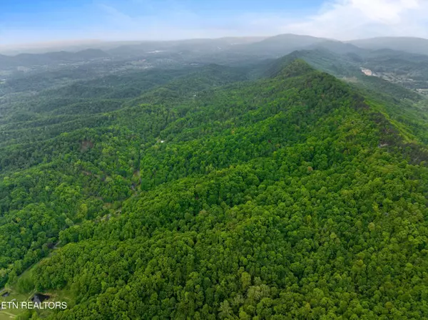 Rogersville, TN 37857,Tract 1 Sandy Valley Rd