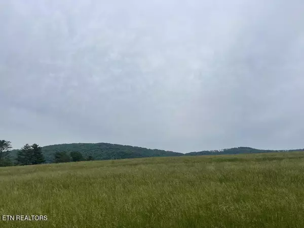 Pikeville, TN 37367,496 Aultville Tr