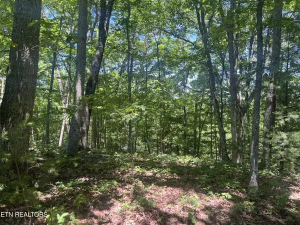 Fairfield Glade, TN 38558,33 Camden CT.