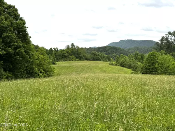 Sevierville, TN 37876,Licklog Hollow Rd