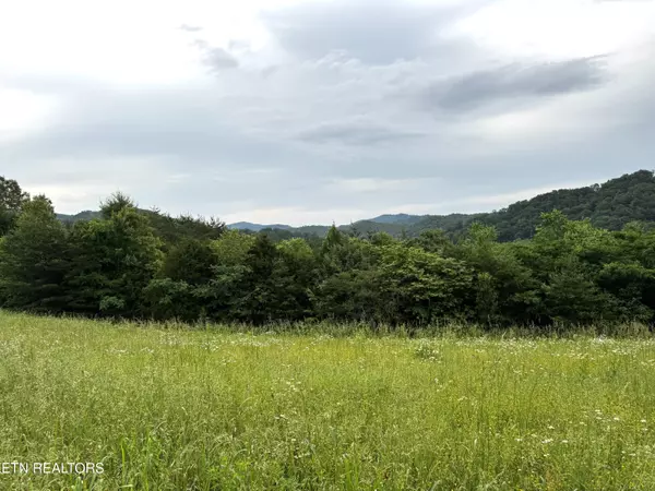 Sevierville, TN 37876,Licklog Hollow Rd