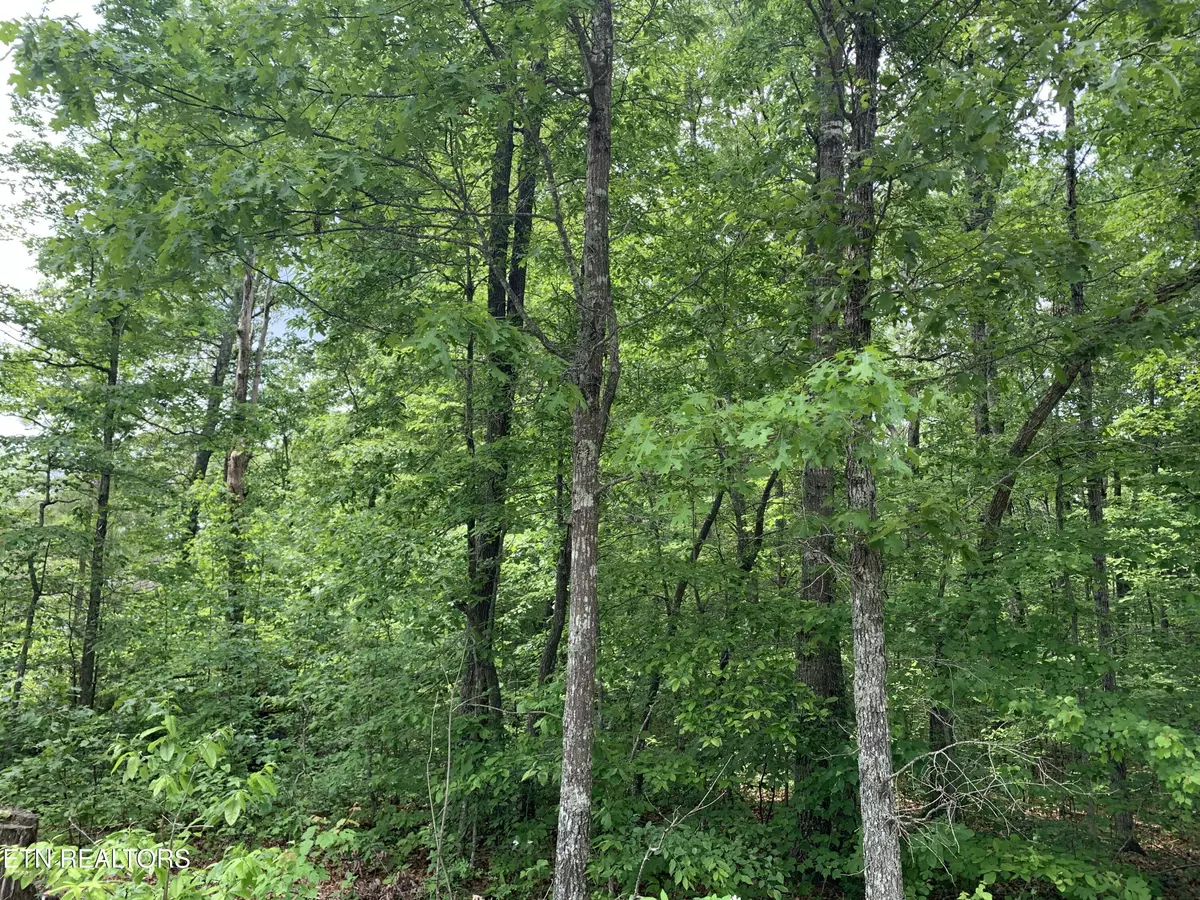 Crossville, TN 38555,Summerwind DR