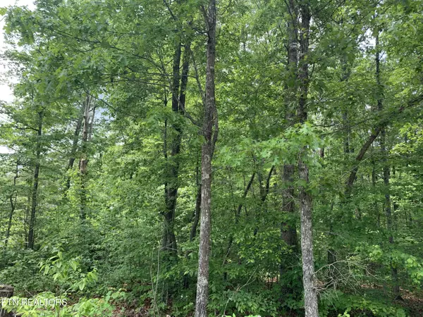 Summerwind DR, Crossville, TN 38555