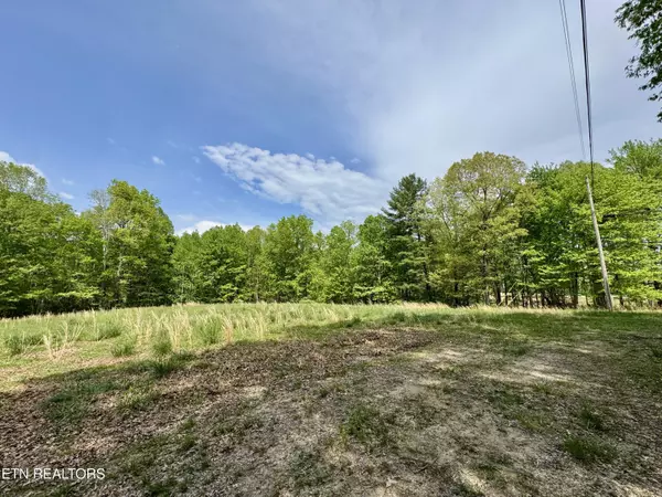 Deer Lodge, TN 37726,Christenson Rd