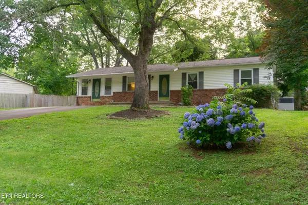 Knoxville, TN 37923,1049 Roswell Rd