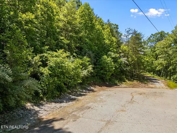 Lafollette, TN 37766,Lot 6 Shanghai Landing LN