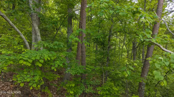 Thorn Hill, TN 37881,0 25E Hwy