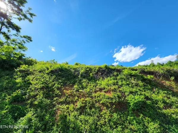Lafollette, TN 37766,Cameron Loop LN