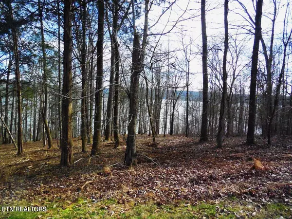 Rockwood, TN 37854,Shore lot 117 DR
