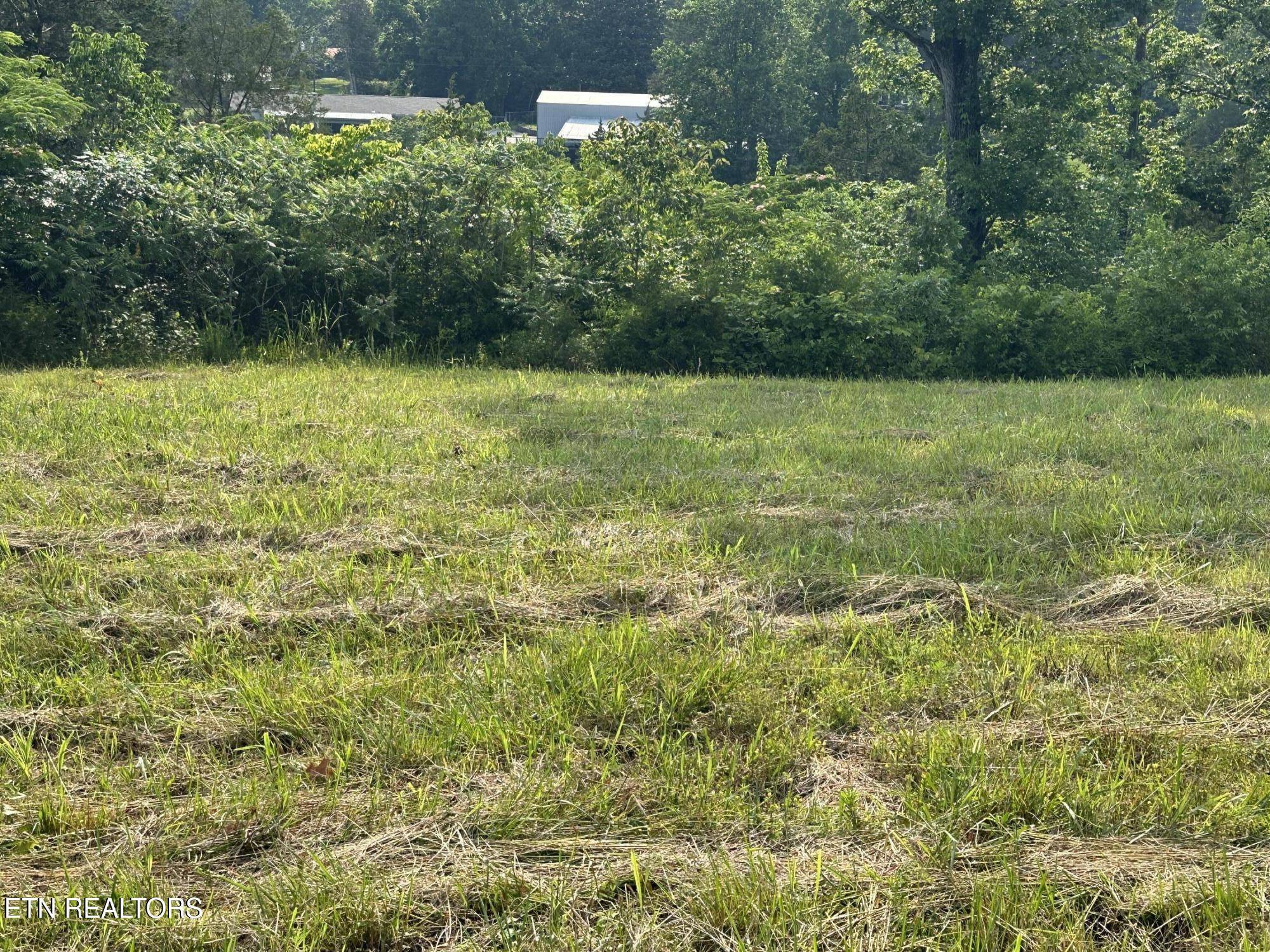 Speedwell, TN 37870,Wagon LN
