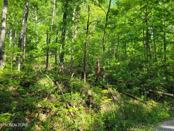 Sevierville, TN 37876,Lot 27 Black Oak DR