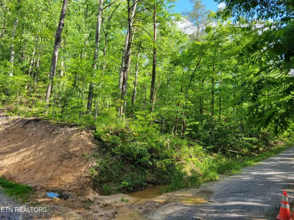 Sevierville, TN 37876,Lot 27 Black Oak DR