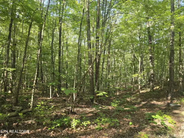 Oneida, TN 37841,701 Wilderness Tr