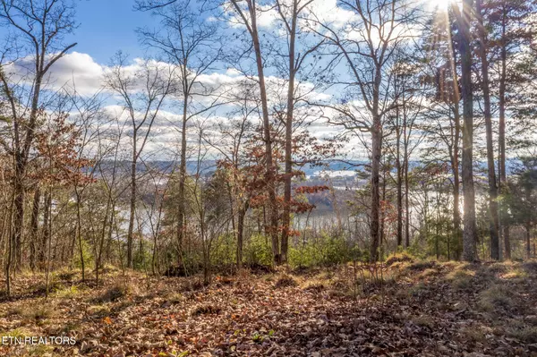 Mooresburg, TN 37811,607 Lakeview DR