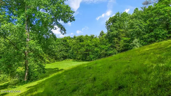 Rocky Top, TN 37769,Butcher LN