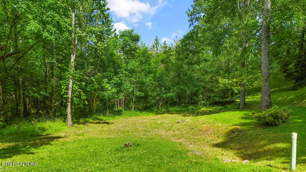 Rocky Top, TN 37769,Butcher LN