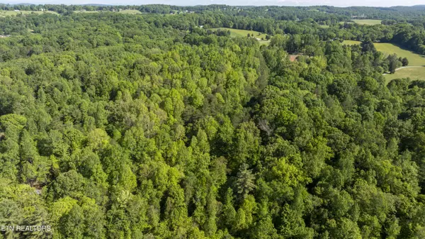 Athens, TN 37303,County Rd 121, Lot 7, 10.12 AC