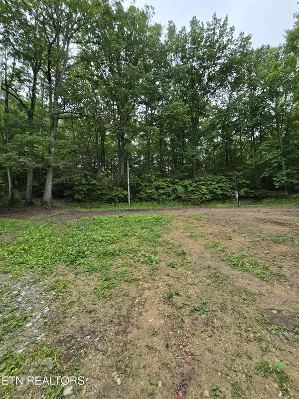 Lafollette, TN 37766,689 Ivey Hollow Rd