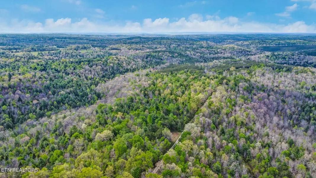 14.78 Old Collins Rd, Deer Lodge, TN 37726