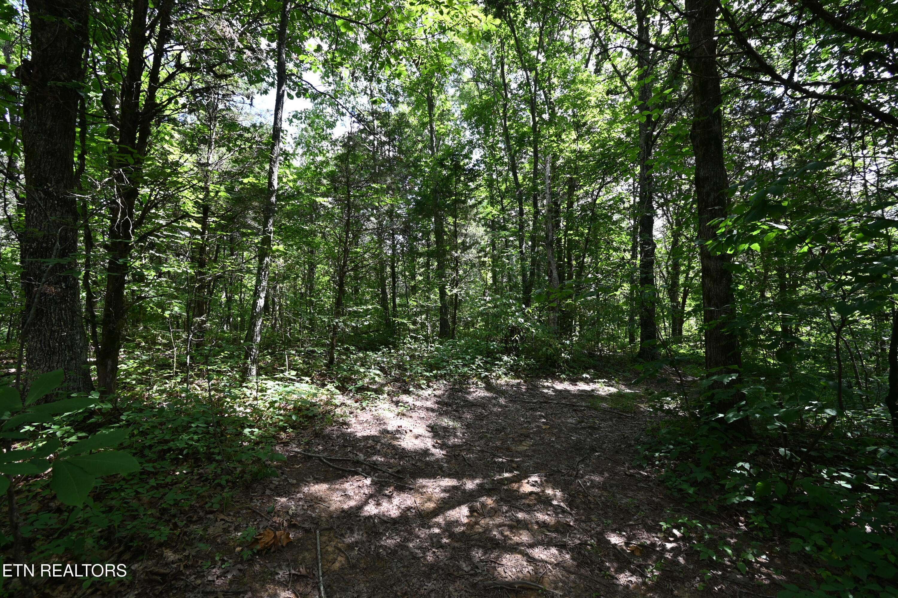 Strawberry Plains, TN 37871,21 acres Smith School Rd