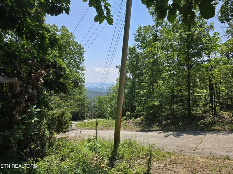 Wallen LN, Bean Station, TN 37708