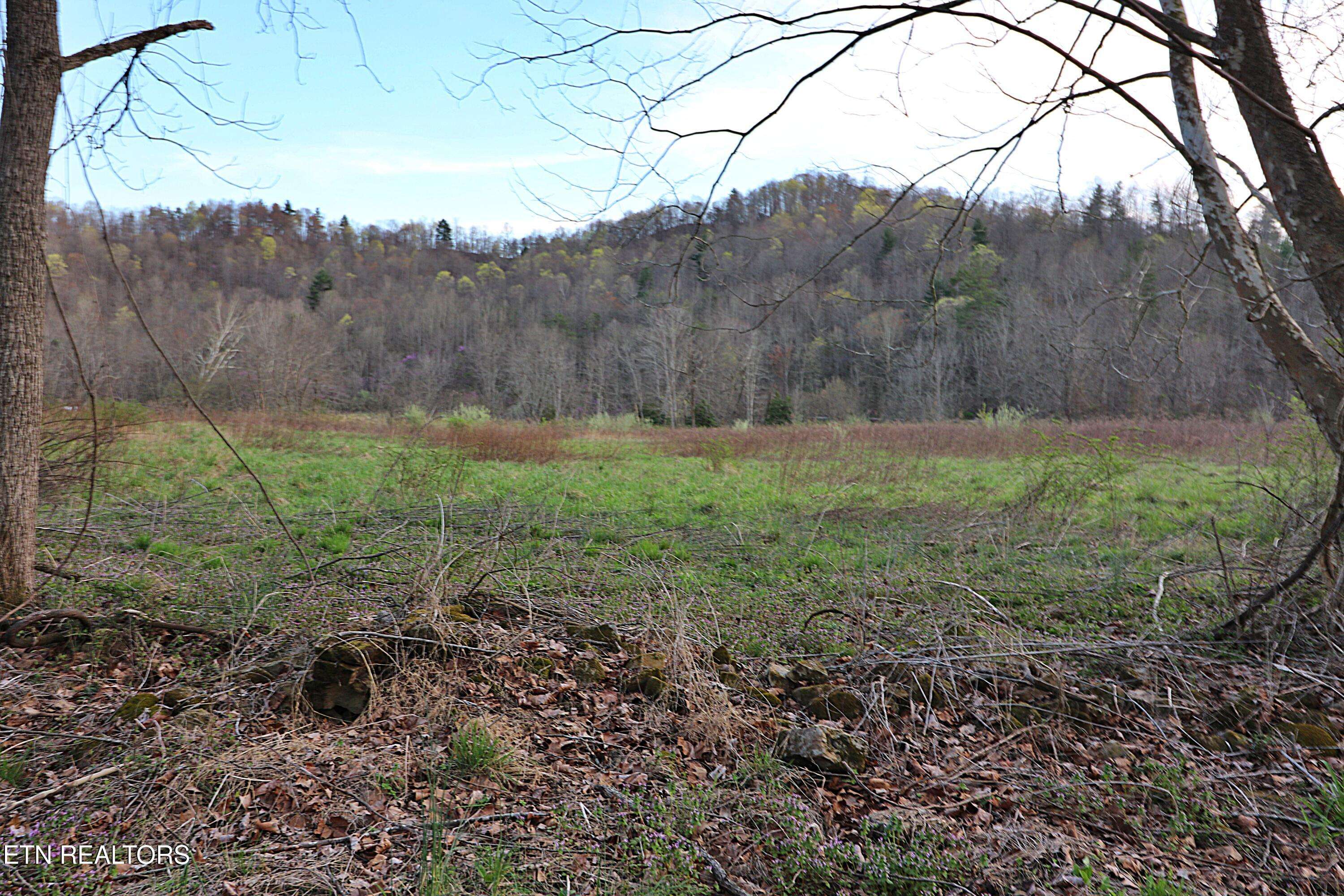 Robbins, TN 37852,Brimstone Rd