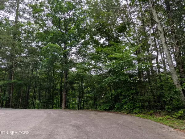 Townsend, TN 37882,438 Kurt's Corner Rd