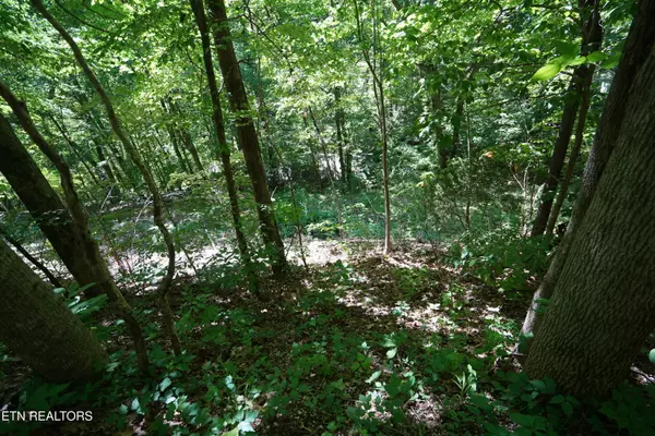 Smithville, TN 37166,Love Colony Rd