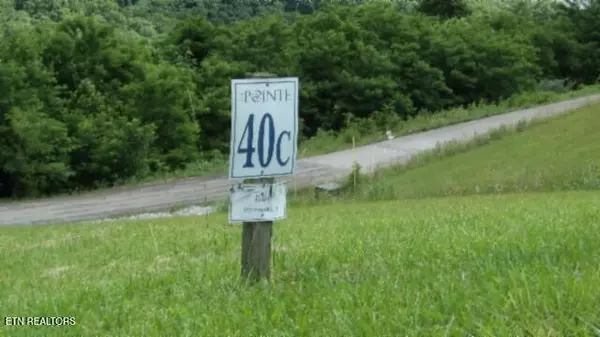 Hilham, TN 38568,Lot 40C Swan Ridge Rd