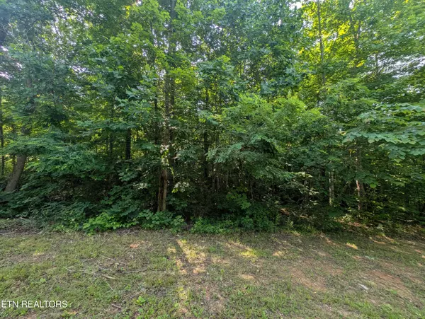 Jamestown, TN 38556,Cheyenne Drive Lot 12 & 13