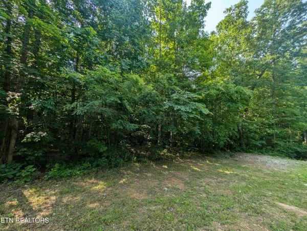 Jamestown, TN 38556,Cheyenne Drive Lot 12 & 13