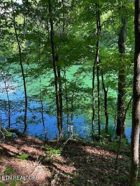 Cheri Ln Lot 62, Caryville, TN 37714