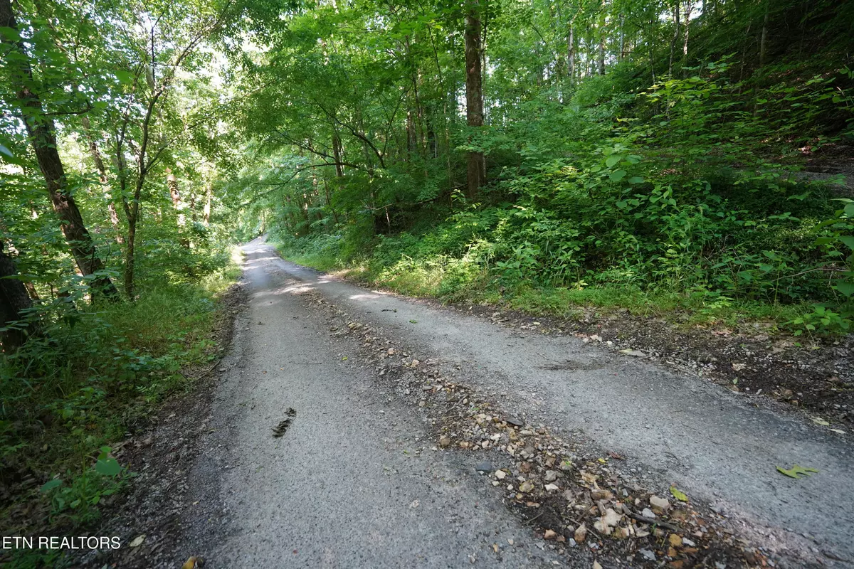 Smithville, TN 37166,Holiday Haven Rd