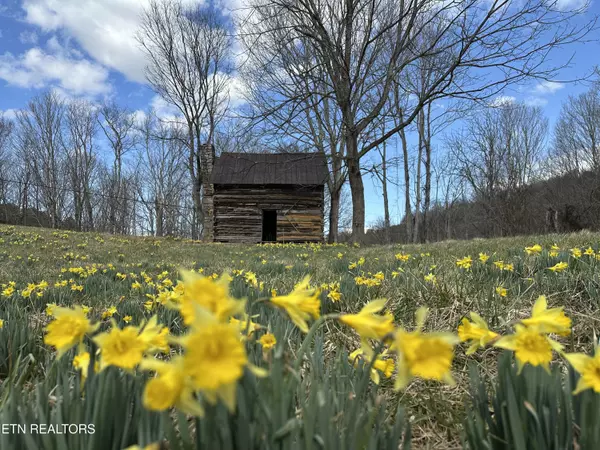 Parrottsville, TN 37843,3310 Wild Turkey WAY