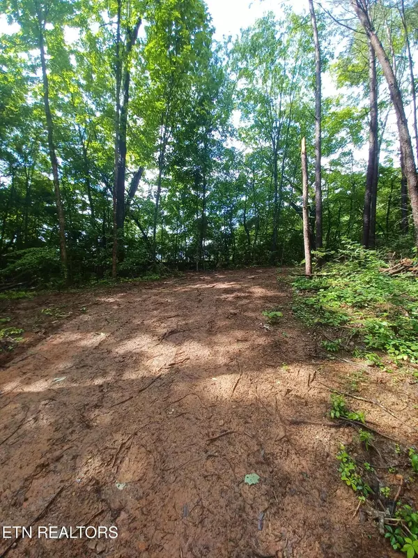 Strawberry Plains, TN 37871,0 Huffaker Dr Off DR