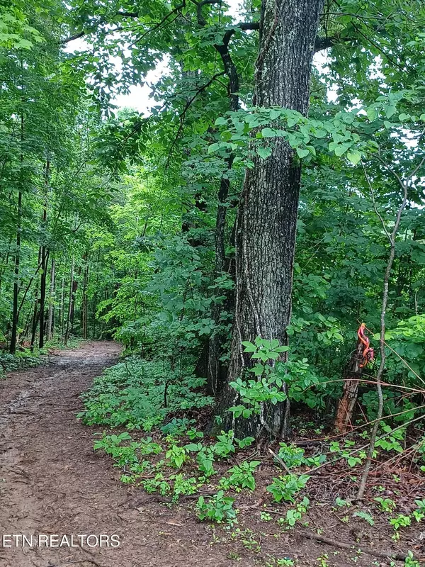 Strawberry Plains, TN 37871,0 Huffaker Dr DR