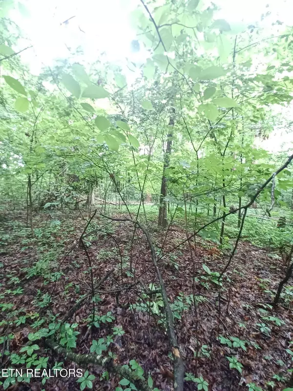 Strawberry Plains, TN 37871,0 Huffaker Dr DR