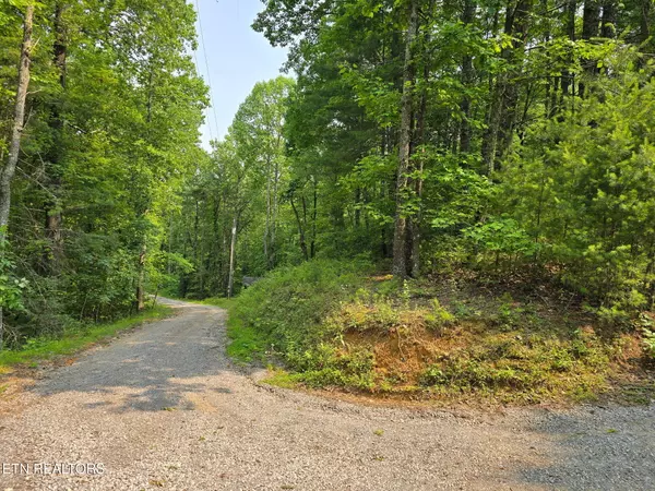 Reliance, TN 37369,Towee Mountain DR