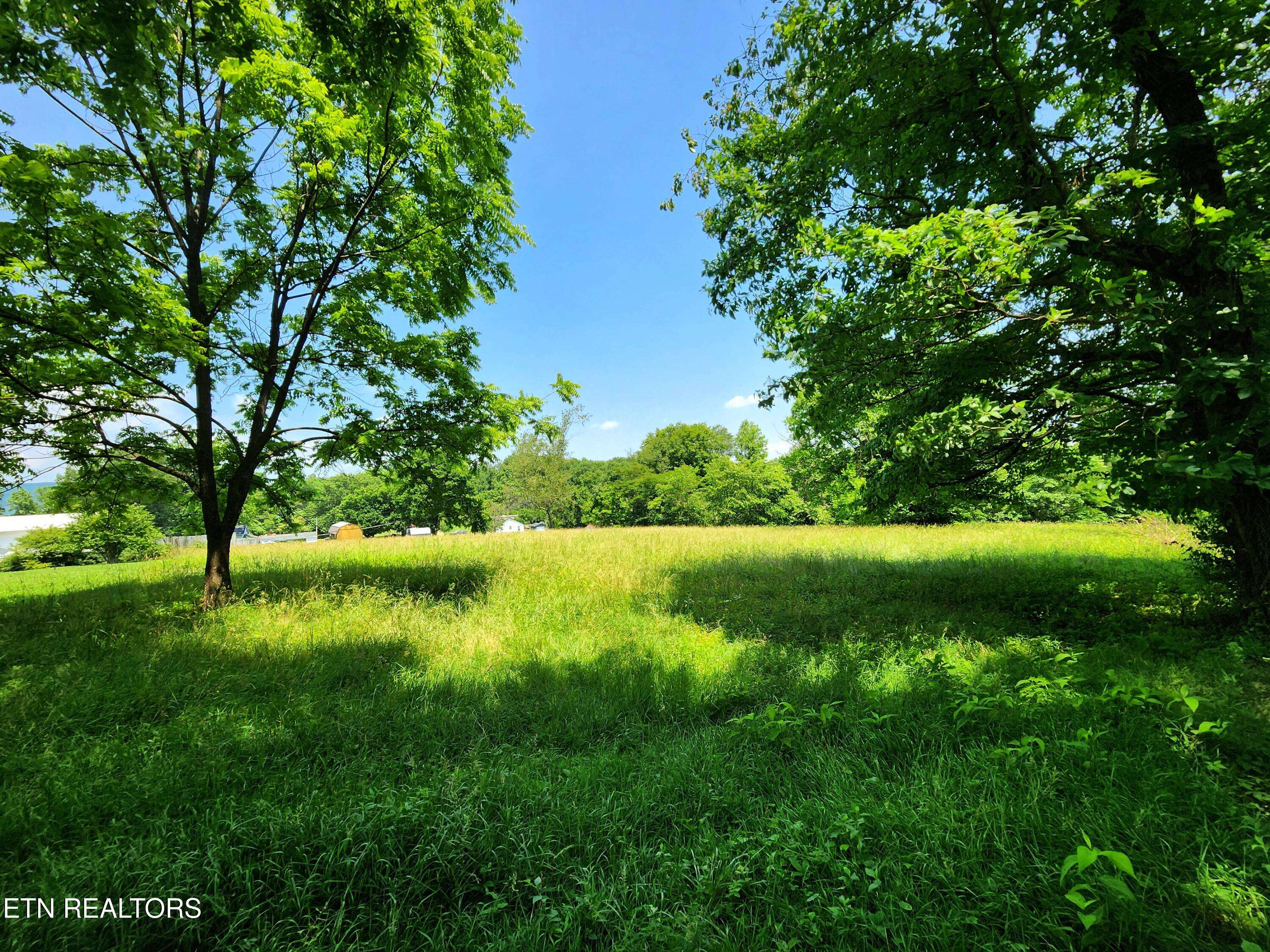 McCormick LN, Harriman, TN 37748