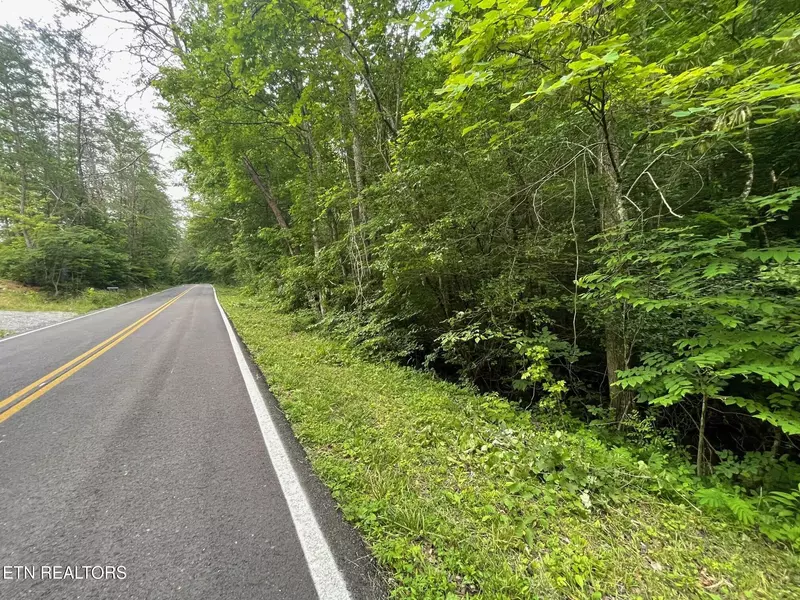 1477 Old Chilhowee Rd, Seymour, TN 37865