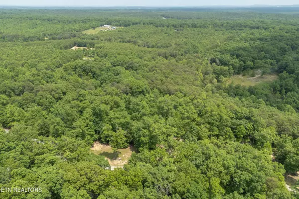 Spencer, TN 38585,Lot 146A Falls LN